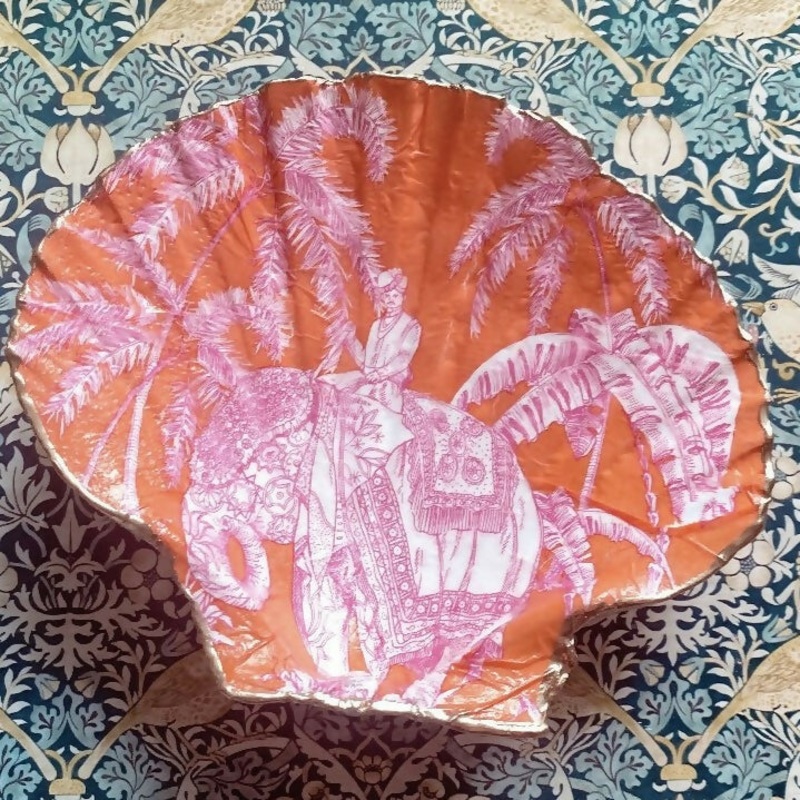 Indian Elephant Scallop