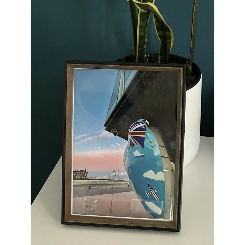 Amy’s Tiger Moth Flying High