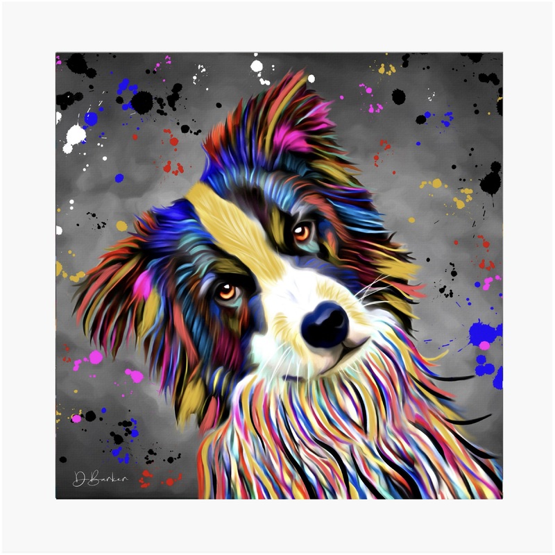BORDER COLLIE DOG COLOUR SPLASH MOUNTED ARTWORK.