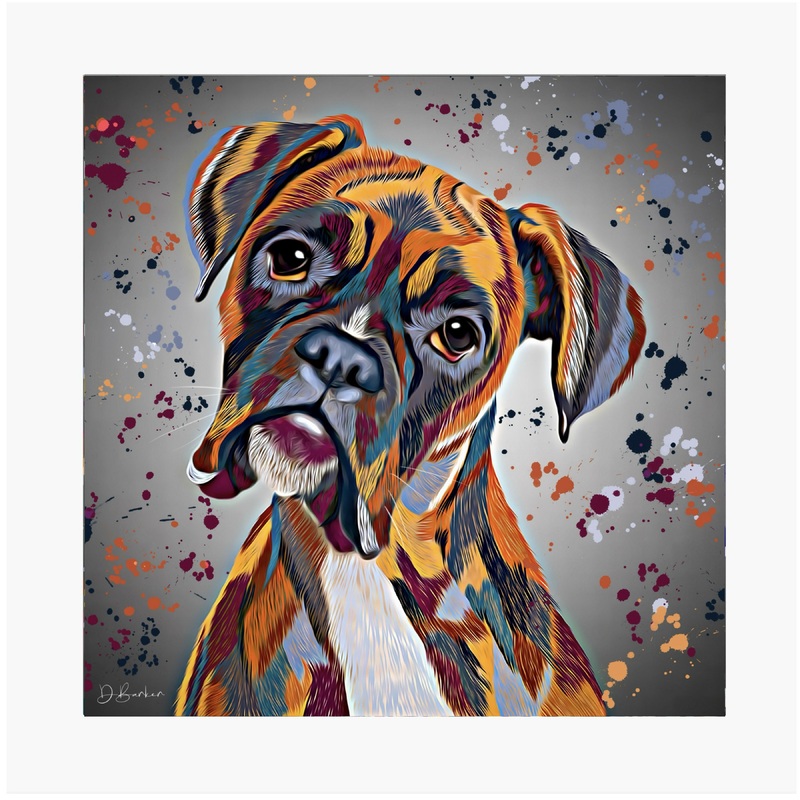 BOXER DOG COLOUR SPLASH MOUNTED ARTWORK.