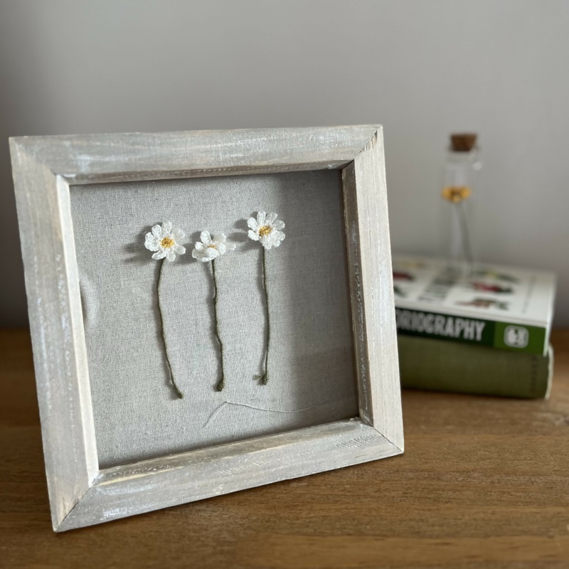 Crochet Daisies In Frame