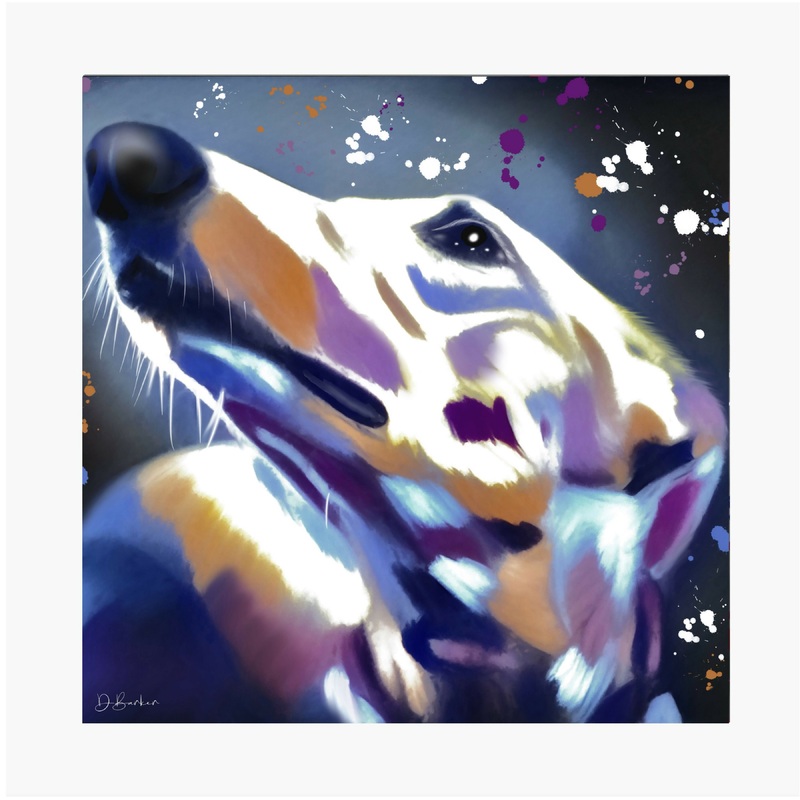 GREYHOUND DOG LYING – COLOUR SPLASH MOUNTED ARTWORK.