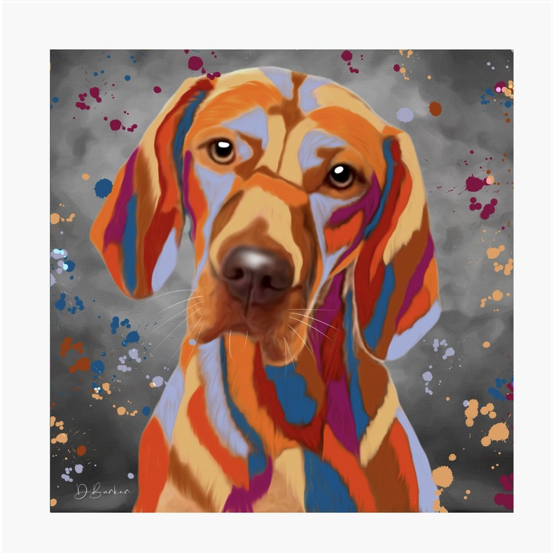 HUNGARIAN VIZLA DOG – COLOUR SPLASH MOUNTED ARTWORK.