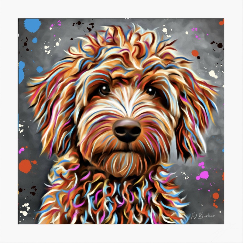 LABRADOODLE BLONDE DOG – COLOUR SPLASH MOUNTED ARTWORK.