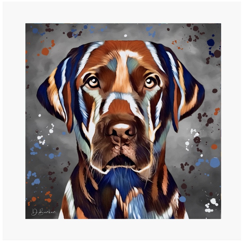 LABRADOR DOG CHOC – COLOUR SPLASH MOUNTED ARTWORK.