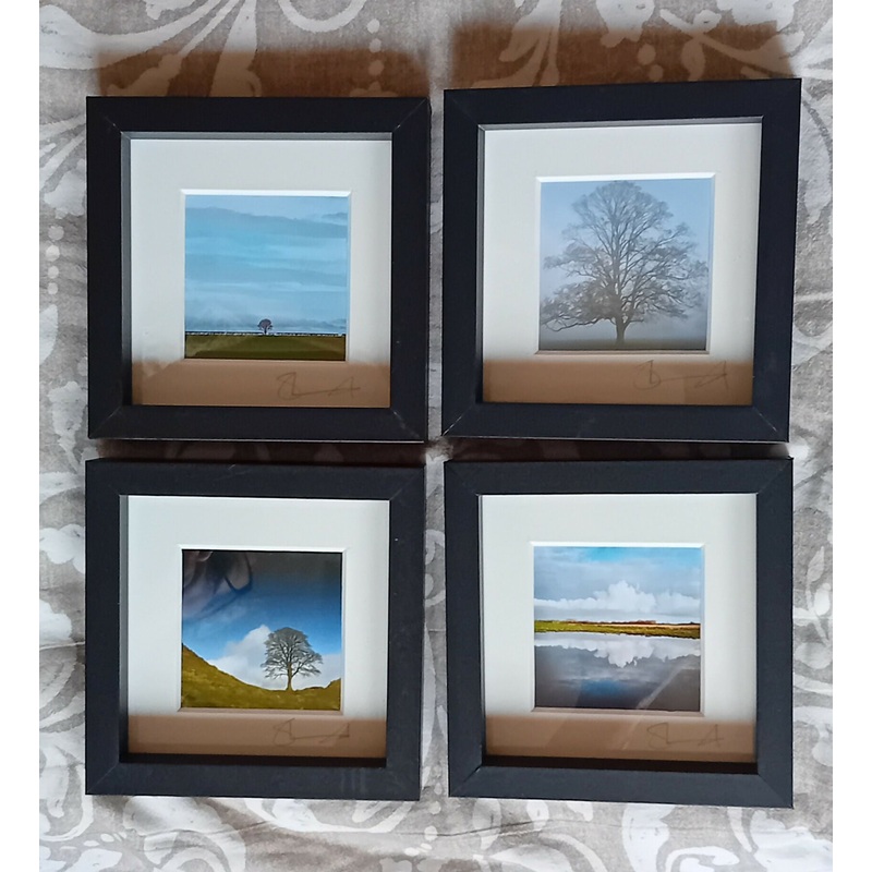 Mini Frames #2|Sycamore Gap|Misty beech|Stripy sky|Flooded field