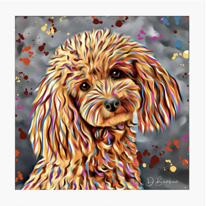 POODLE DOG – COLOUR SPLASH MOUNTED ARTWORK.