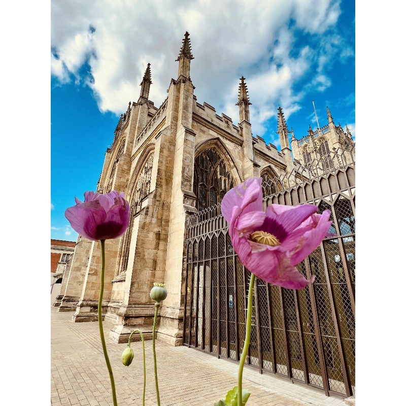 Poppies And A Minster Is A Good Mix (frame 23×28.5)