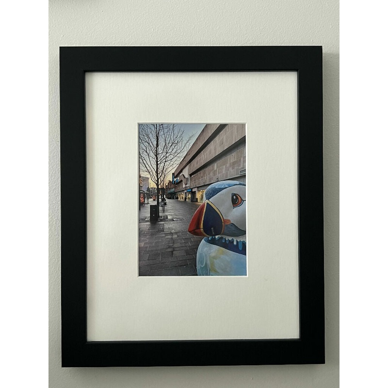 Puffin Freezing In Hull (27×33 frame)