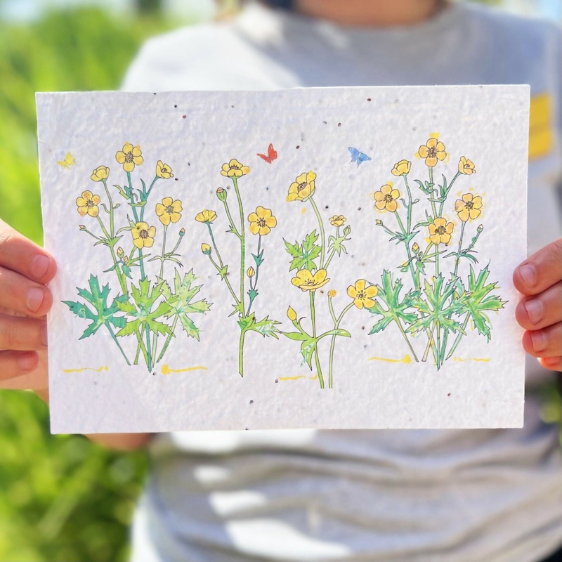 Seed Card Print – Buttercups
