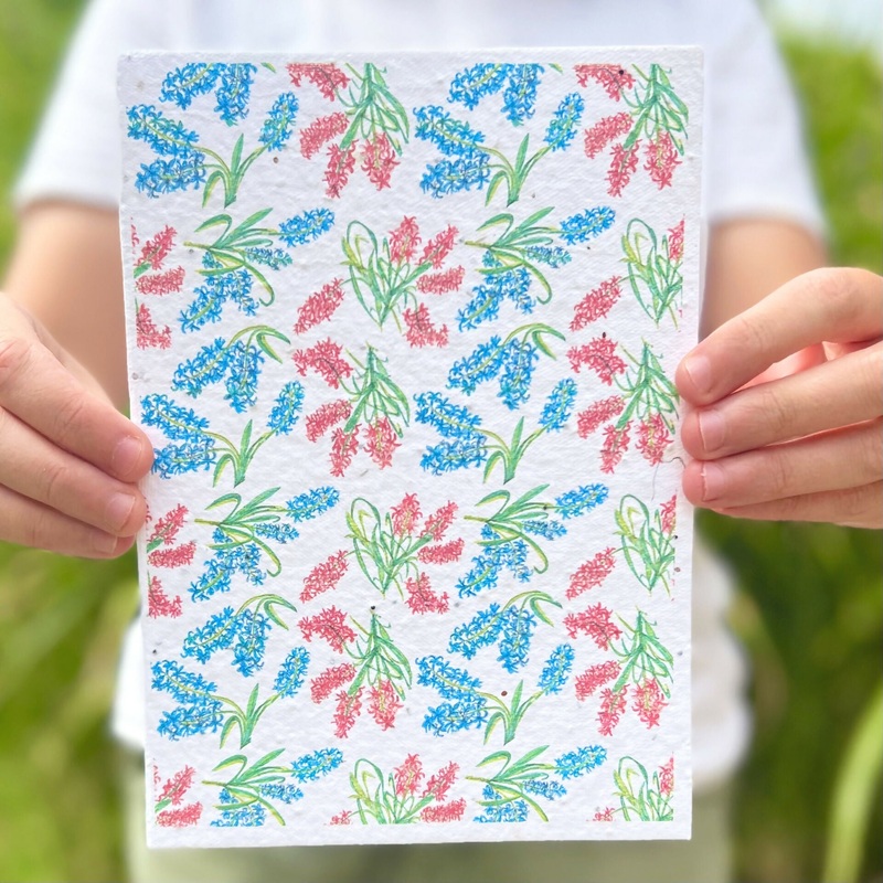 Seed Card Print – Hyacinths