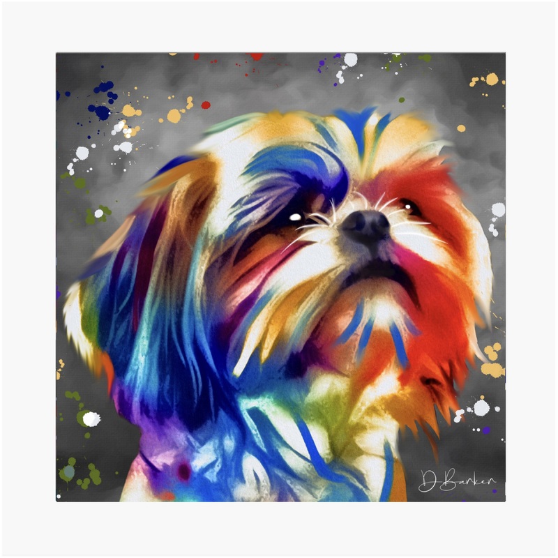 SHI TZU DOG – COLOUR SPLASH MOUNTED ARTWORK.