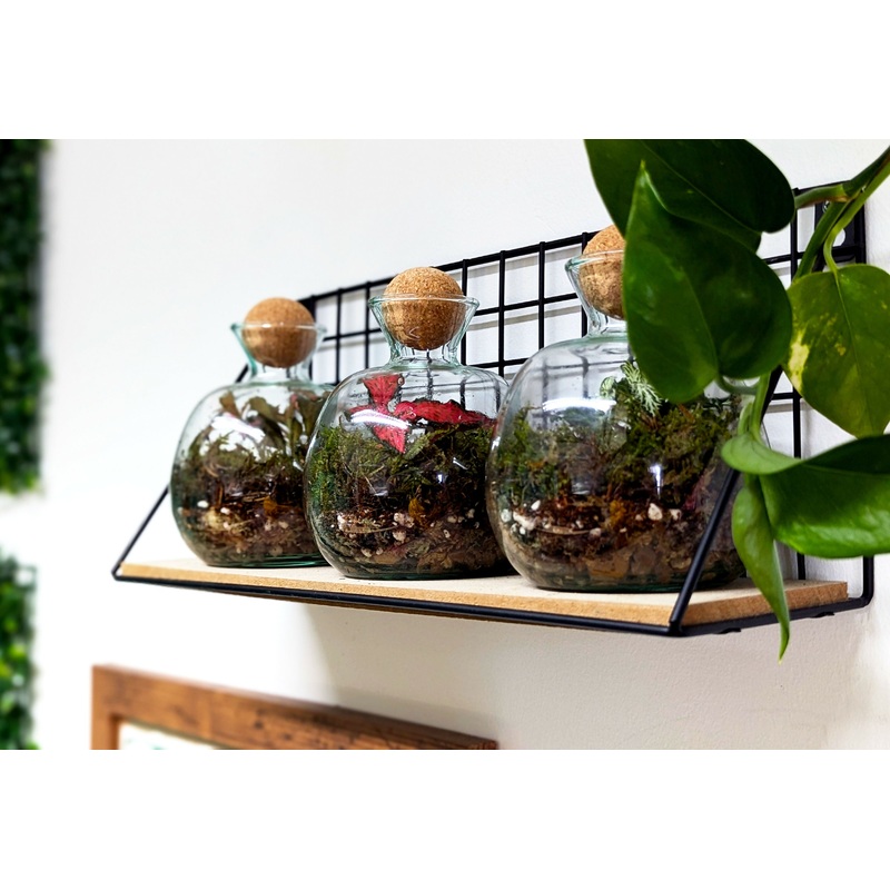 Small Round Sphere Cork Terrarium