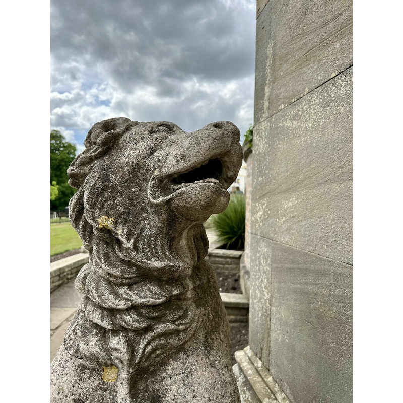 The Lion Of Sewerby Hall (frame 23×28.5)