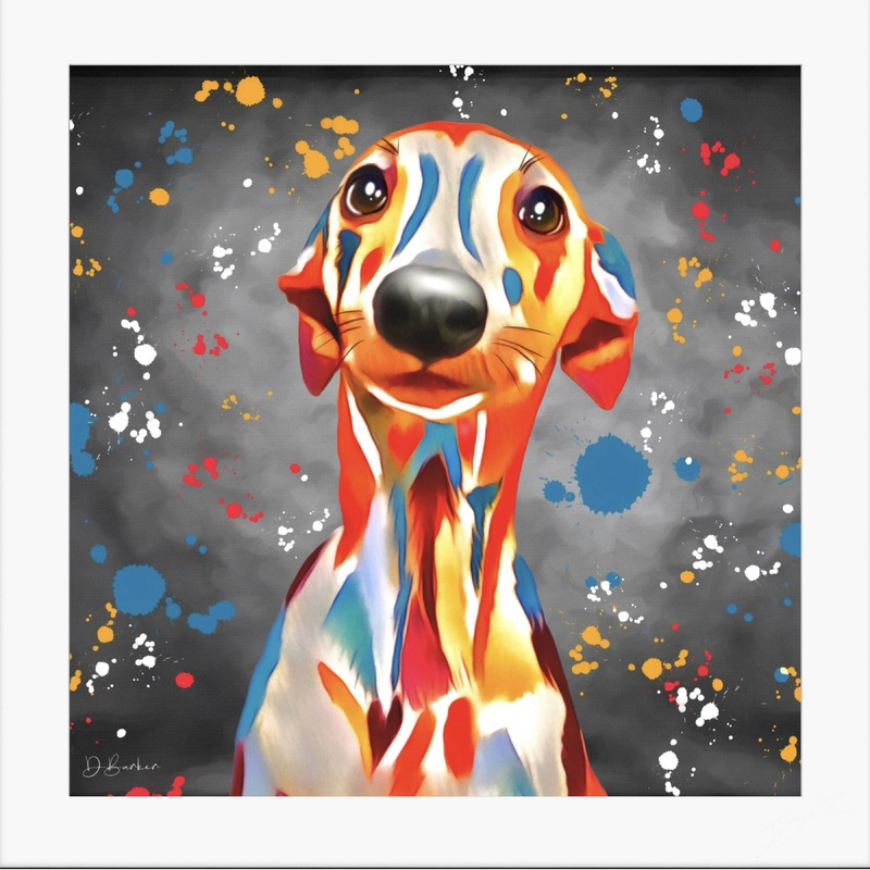 WHIPPET DOG – COLOUR SPLASH MOUNTED ARTWORK.