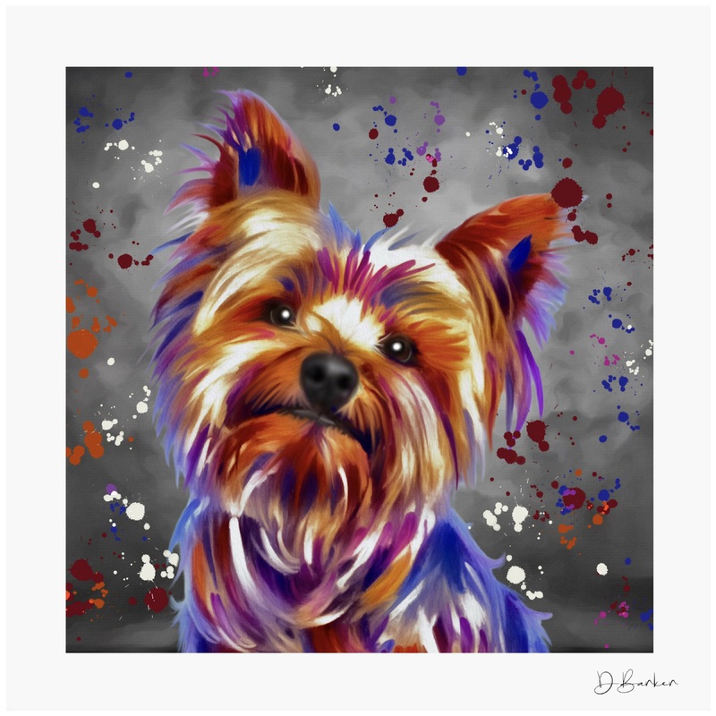 YORKSHIRE TERRIER DOG – COLOUR SPLASH MOUNTED ARTWORK.