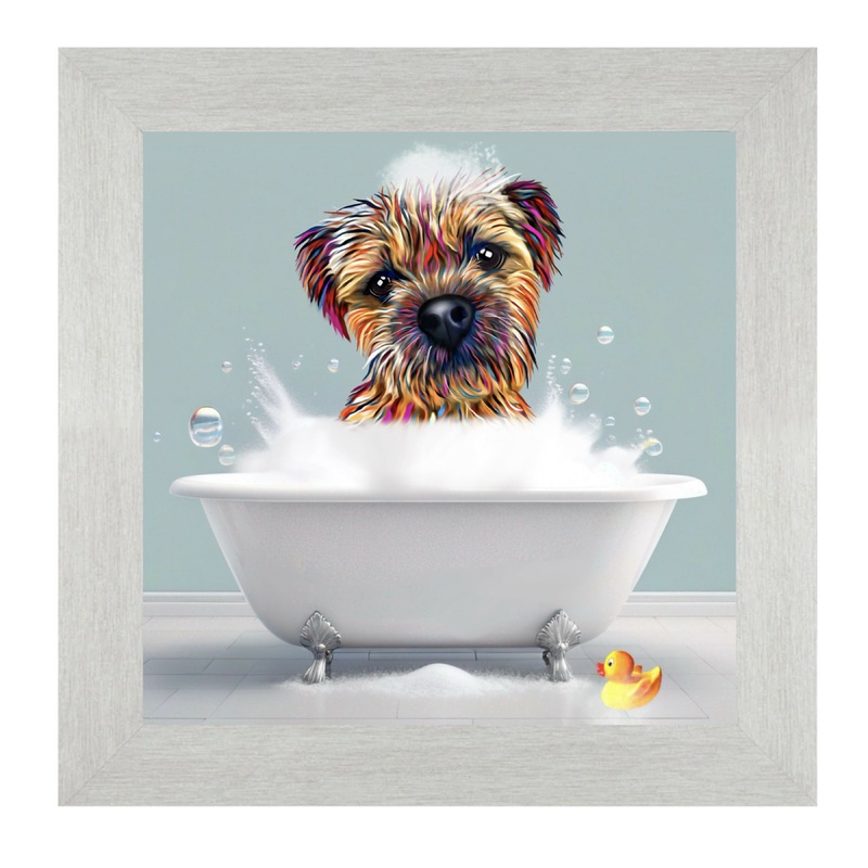 BORDER TERRIER DOG – BATH TIME.