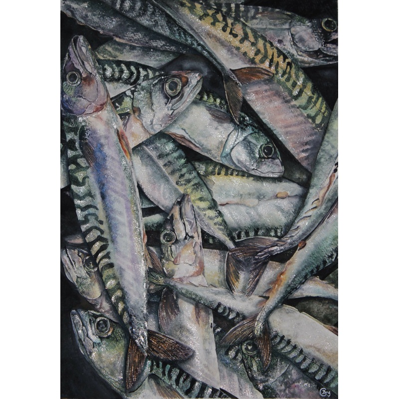 Bucket of Mackerel – Print|A4|A3