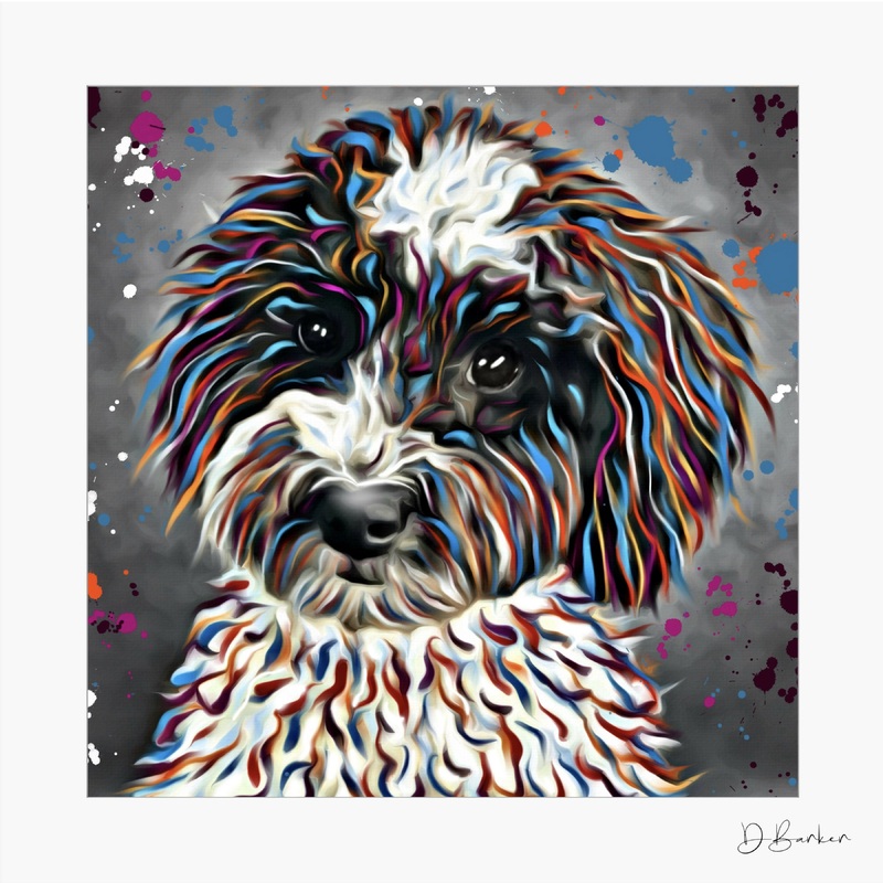 COCKAPOO BLACK AND WHITE DOG – COLOUR SPLASH MOUNTED ARTWORK.