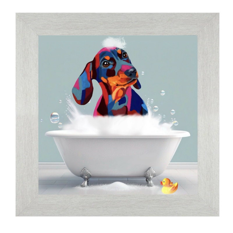 DACHSHUND DOG – BATH TIME.