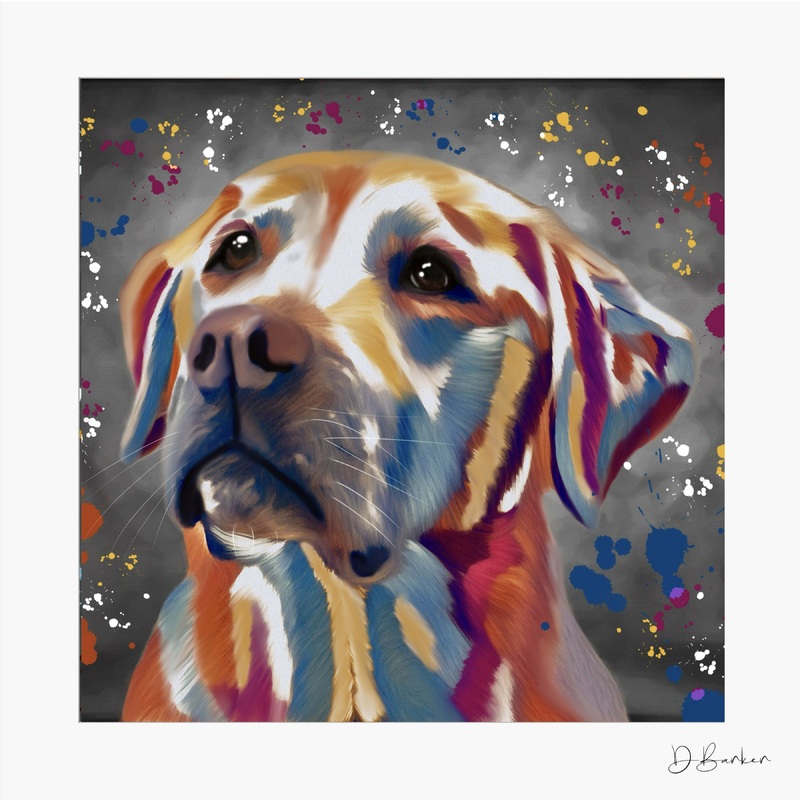 GOLDEN LABRADOR – COLOUR SPLASH MOUNTED ARTWORK.