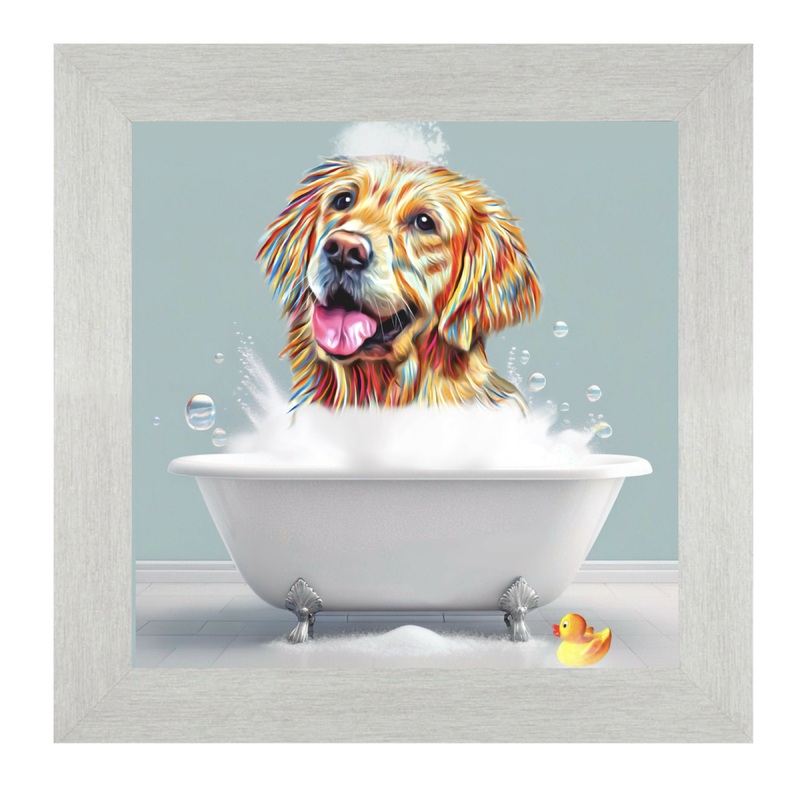 GOLDEN RETRIEVER DOG – BATH TIME.