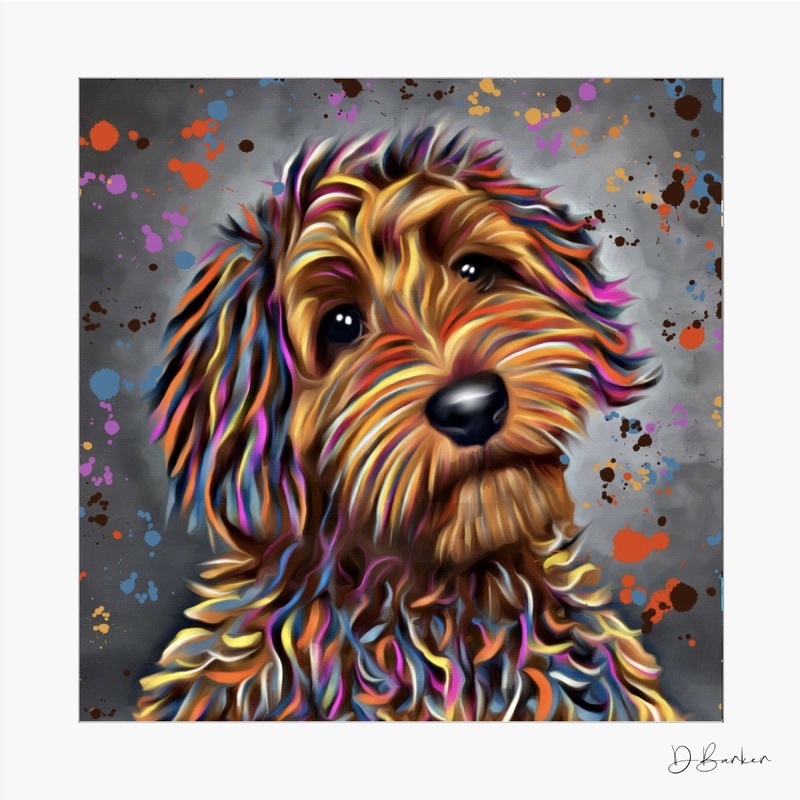 LABRADOODLE CHOC DOG – COLOUR SPLASH MOUNTED ARTWORK.