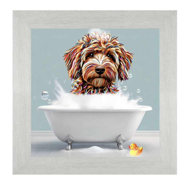 LABRADOODLE DOG – BATH TIME.