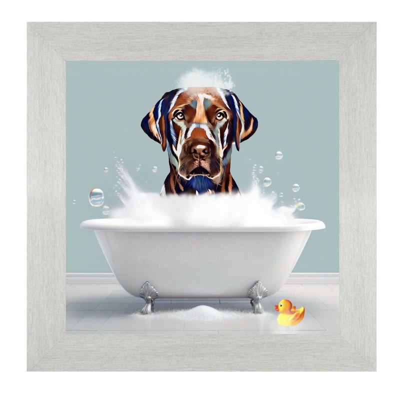 LABRADOR DOG – BATH TIME.