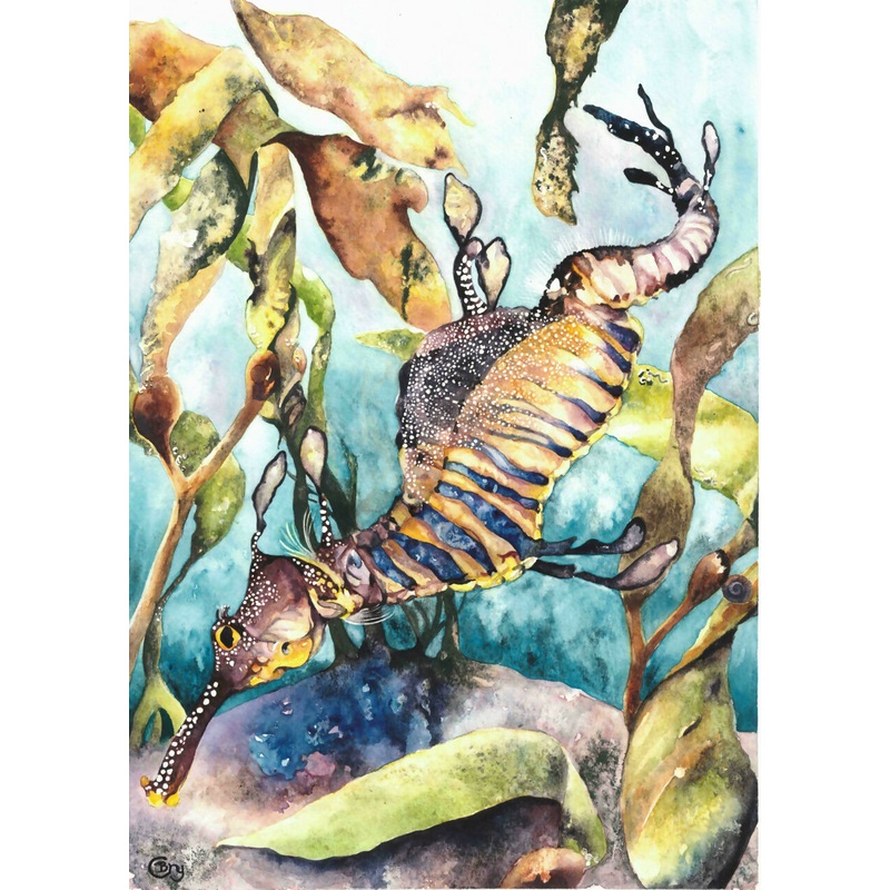 Leafy Seadragon – Print|A4|A3