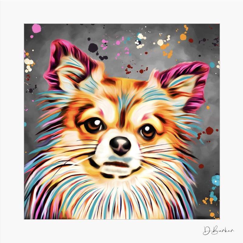 LONG HAIR CHIHUAHUA DOG – COLOUR SPLASH MOUNTED ARTWORK.