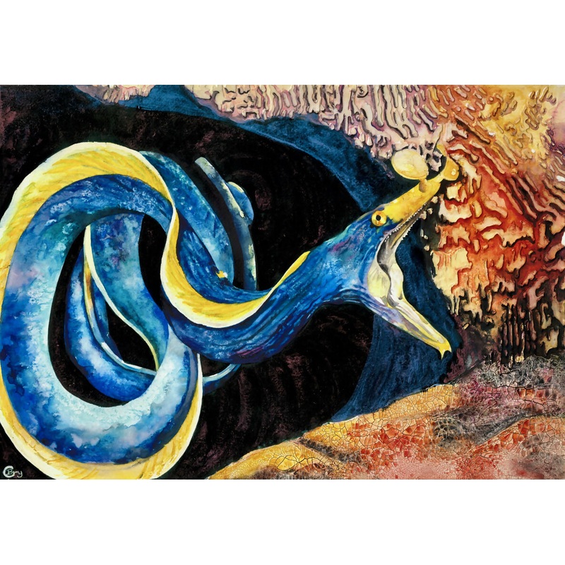 Ribbon Eel – Print|A3