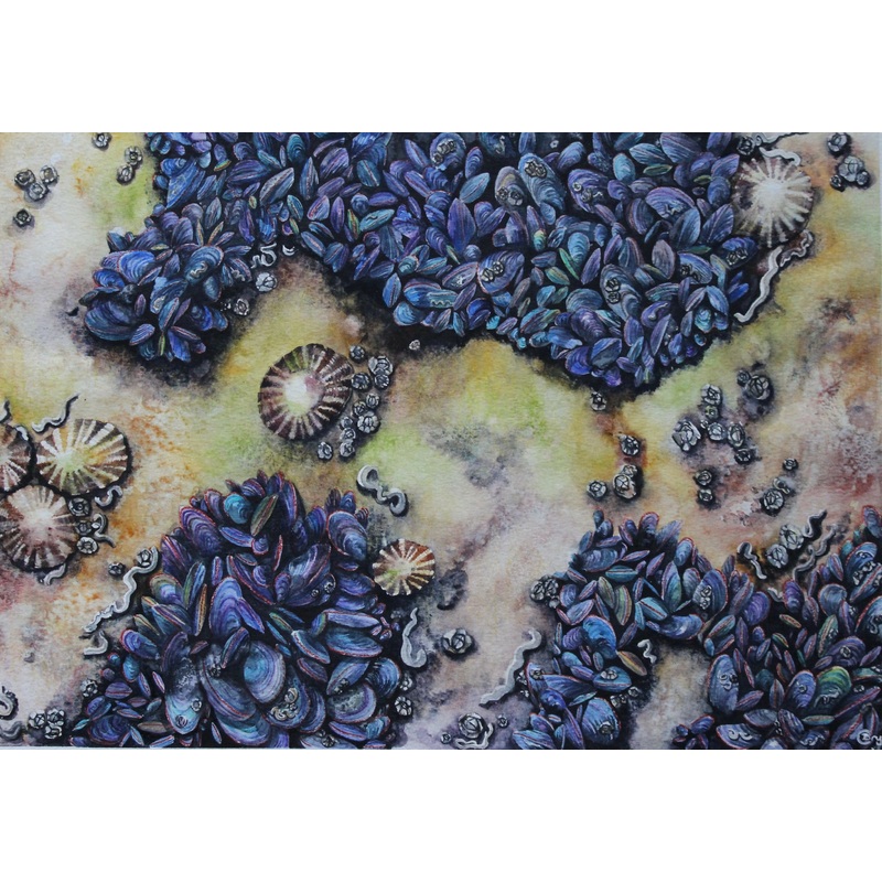 Shoreline Mosaic – Print|A4|A3