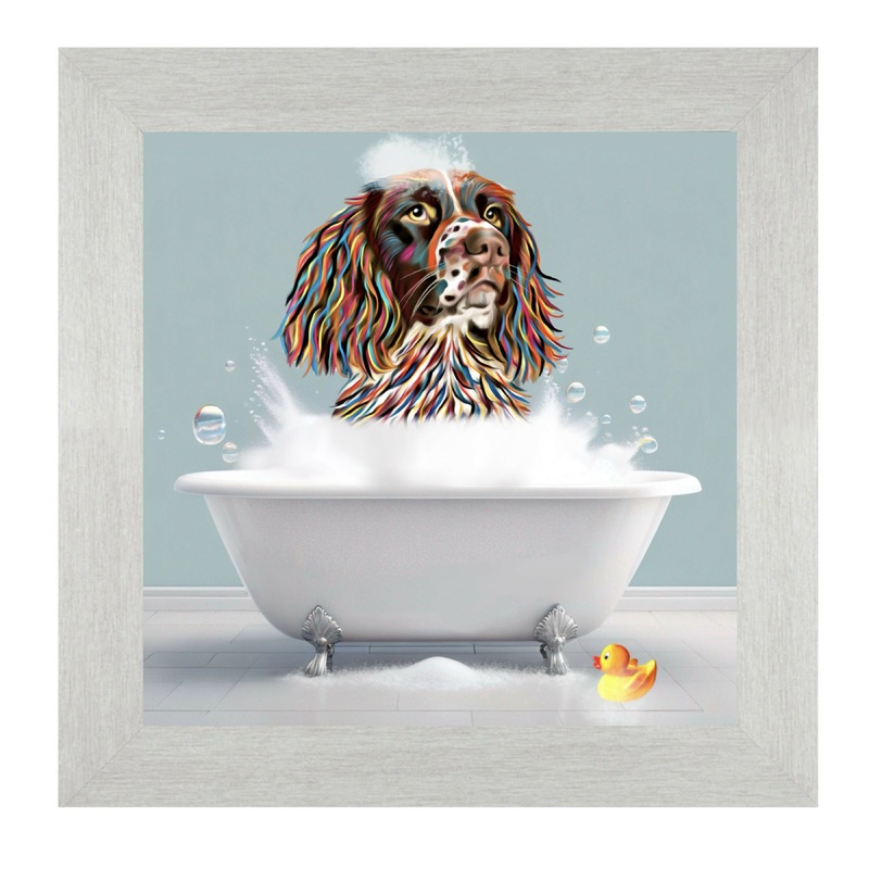SPANIEL DOG – BATH TIME.