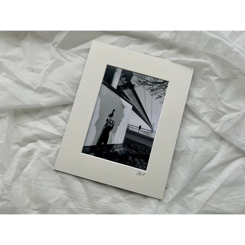 Birdwatching By The Humber Bridge – Medium