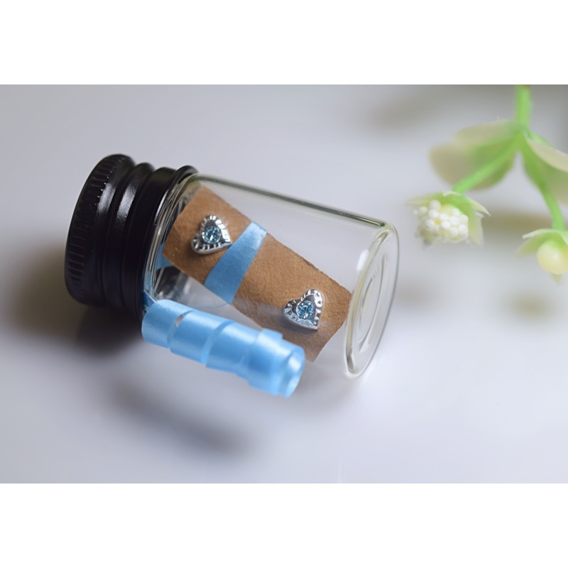 Blue Heart Earrings.