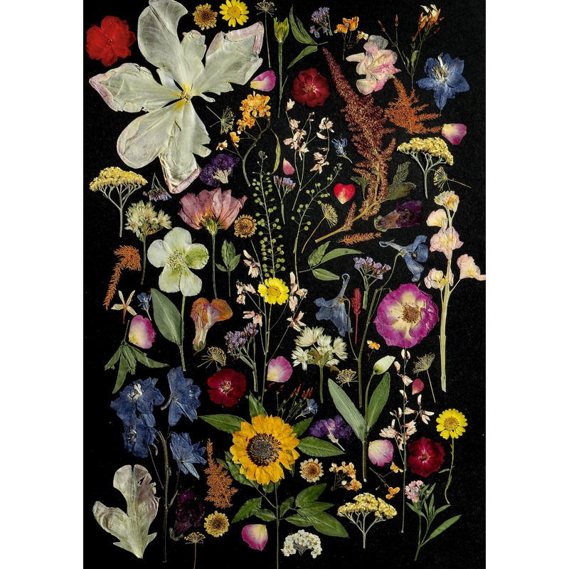 Pressed Flower Prints|Black multicoloured|Green leaves|White multicoloured|Pink & purple|Nude & pink|Black & yellow