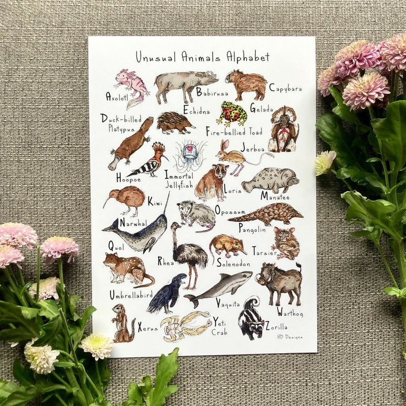 Unusual Animals Alphabet Art Print