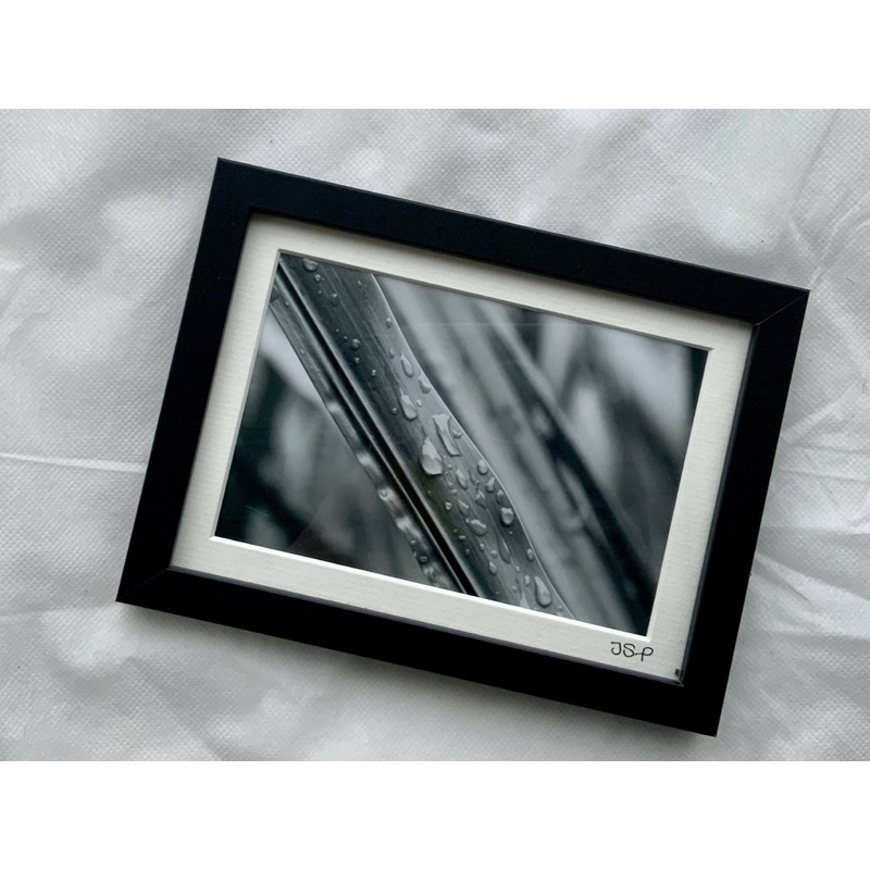 A Damp Morning Walk – Small