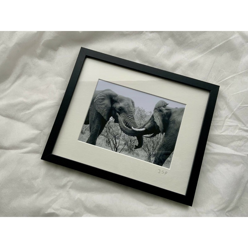 Elephant Greetings – Medium