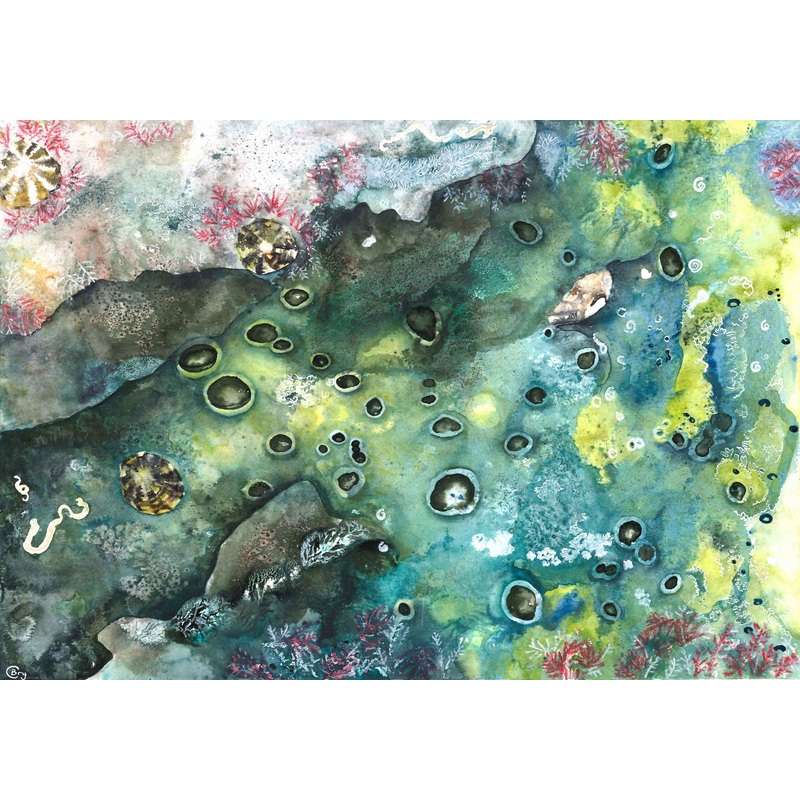 Spongy Surface – Print|A4 unframed|A4 framed