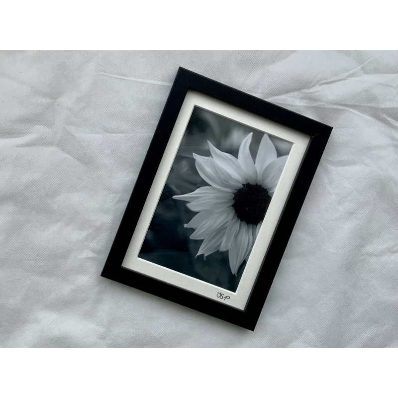 Summer Memories – Small