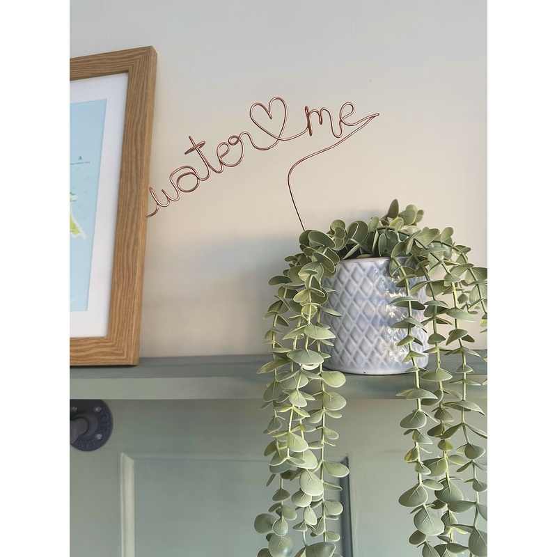 Water me Plant Label