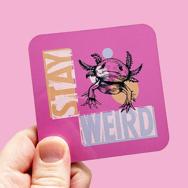 Animal Pun Coaster – Various Designs