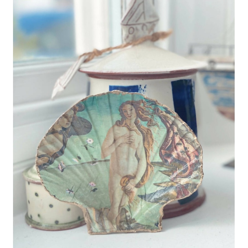 Birth of Venus Scallop