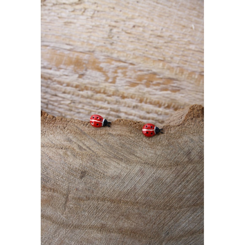 Ladybird Studs