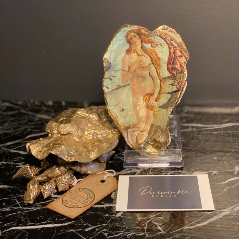 Large Venus oyster