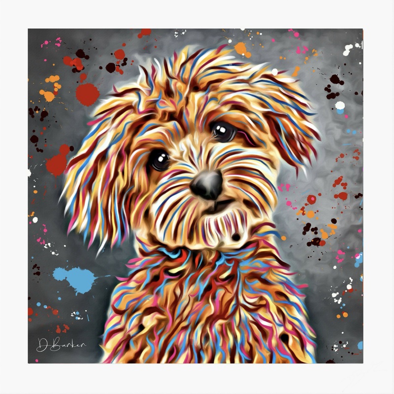 MALTIPOO – COLOUR SPLASH MOUNTED ARTWORK.