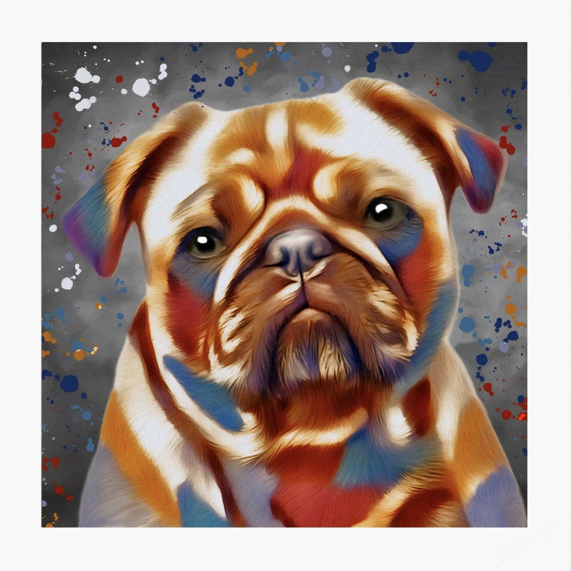 PUG – COLOUR SPLASH MOUNTED ARTWORK.