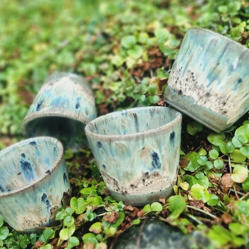 Foresty Cups
